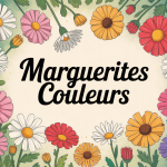 Marguerite couleurs variétés illustrées dans jardin verdure