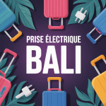 prise electrique bali illustration compatibilite adaptateur