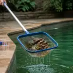 nettoyer piscine verte avec épuisette et produits
