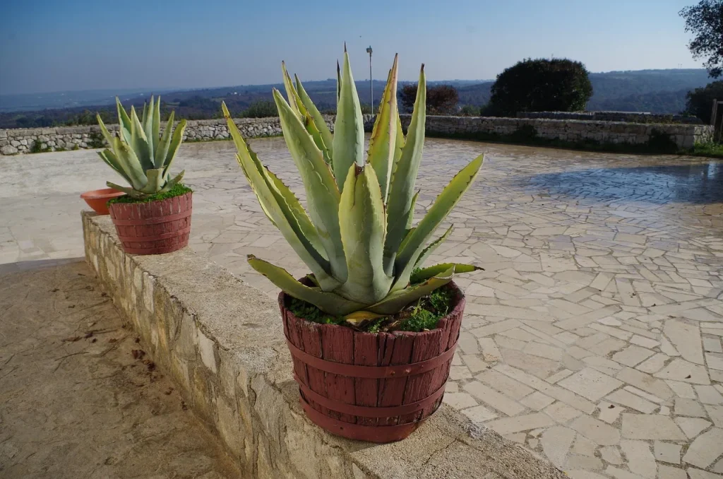 Créer une terrasse avec muret : Nos conseils pour un aménagement extérieur réussi